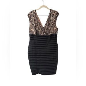 NWT Dressbarn Black and Beige Lace Dress